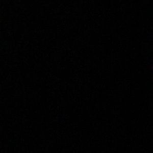 Meet your Posher, Laney